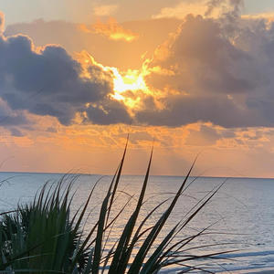 Wasting Time With You (feat. Dakota Smith)