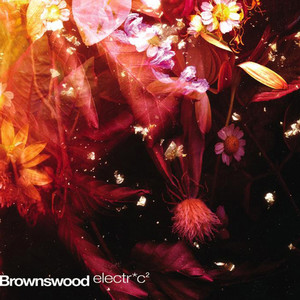 Brownswood Electric 2