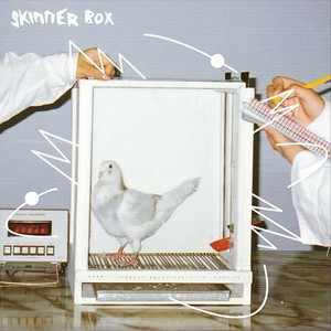 Rock n' Roll Cruiseship