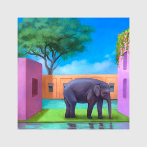 Elephant In The Room (Explicit)