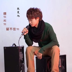 想你爱你留不住你