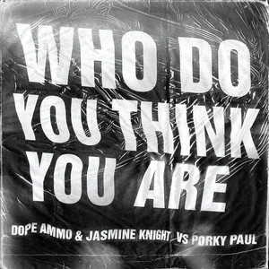 Who Do You Think You Are (MKII Remix)