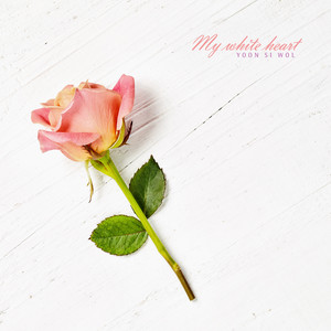 하얀 나의 마음 (My white heart)