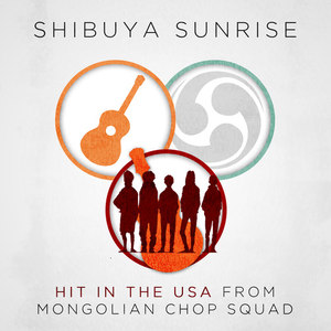 Hit in the USA (Acoustic Guitar Cover|English Language Cover)