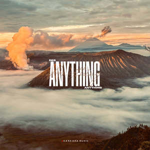Anything
