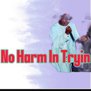 No Harm In Tryin (Explicit)