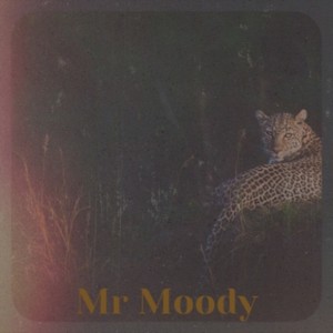 Mr Moody