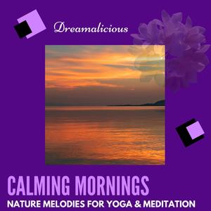 Calming Mornings - Nature Melodies For Yoga & Meditation