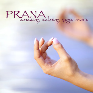 Prana(Water Sound - Cave)