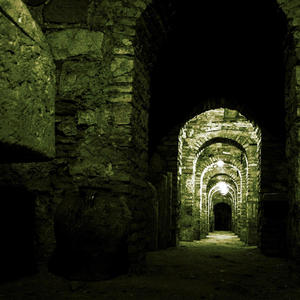 In the Crypt