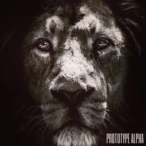 Position(feat. Cory Friesenhan)