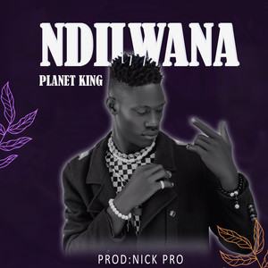 Ndilwana