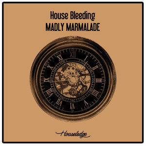 Madly Marmalade (Nu Ground Foundation Chicago Mix)