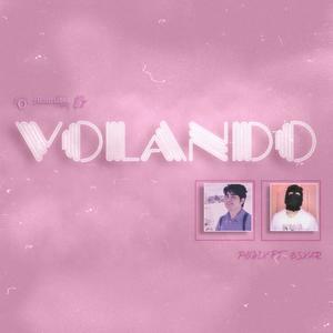 VOLANDO (feat. Malcriados Gang) [Explicit]