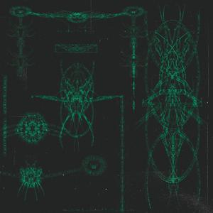 She's wet (feat. Young Meliodas) (Explicit)