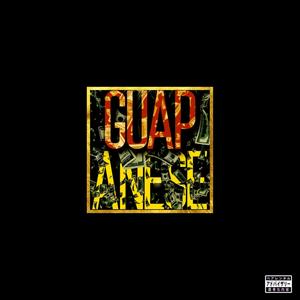 Guapanese (feat. TheHomieBigRich) [Explicit]