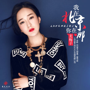 龙梅子专辑《我在北京你在哪》封面图片