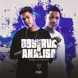 Observa e Analisa (Explicit)