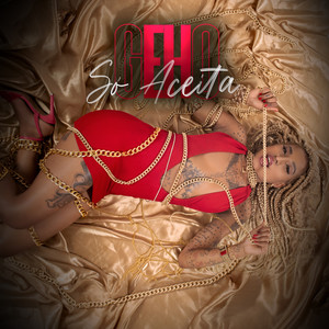 Nunca Disse Que Sou Santa (Explicit)