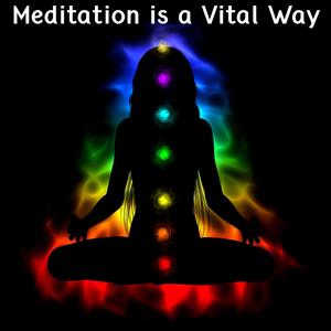 Meditation Is A Vital Way