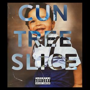 Cun Tree Slice (Explicit)