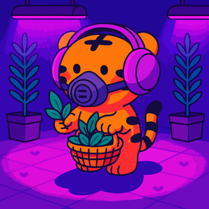 Moonlit Checkpoint (Acoustic)