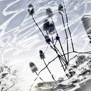 Stability (feat. Mint)