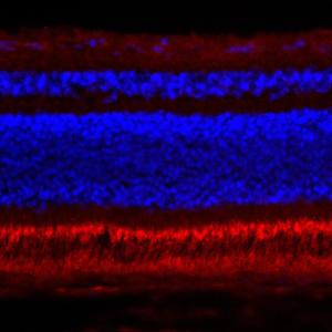 its not ur fault(feat. hoodwtch) (Explicit)