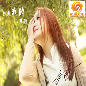 你是我的小黄鹂