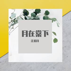 蒹葭迟迟【剧情版】