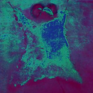 Monkey King (Explicit)