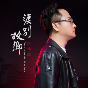泪别故乡 (感动男声版)