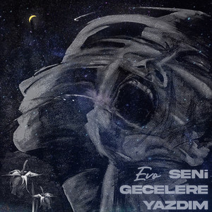 SENI GECELERE YAZDIM