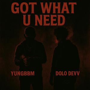 Got What U Need (feat. Dolo Devv) (Explicit)