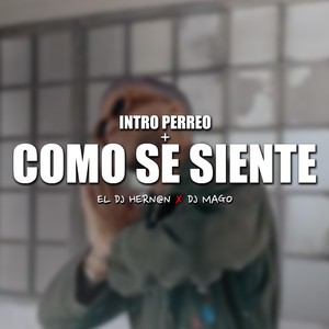 Intro Perreo + Como Se Siente (feat. El Dj Hernan) [Explicit]