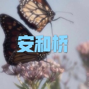 不能说的秘密