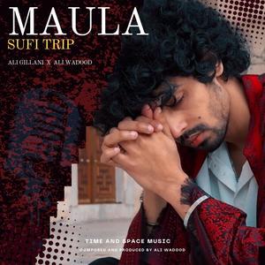 Maula (Sufi Trip) (feat. Ali Wadood)