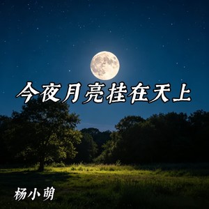 今夜月亮挂在天上