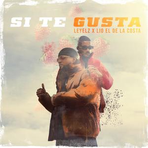 SI TE GUSTA (Explicit)