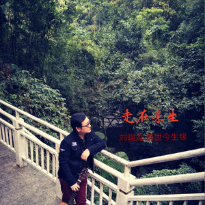 走在来生 (音乐会版)