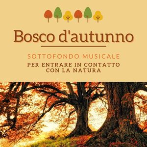 Bosco d'autunno: Sottofondo musicale per entrare in contatto con la natura