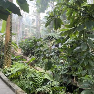 LilDdawwg - Off The Hip (Explicit)