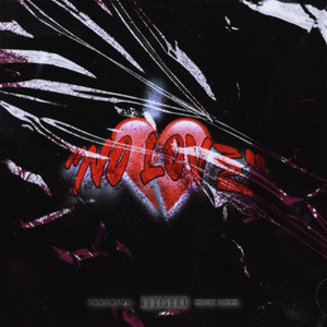 no love (Explicit)