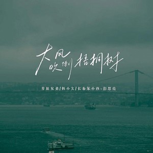 大风吹倒梧桐树 (扎心版)