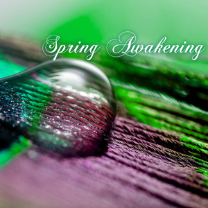 Spring Awakening - New Age Meditation Music for Spring Summer Equinox, Nature Sounds