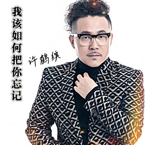 我该如何把你忘记