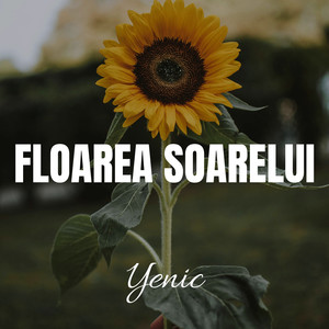 Floarea Soarelui (Explicit)