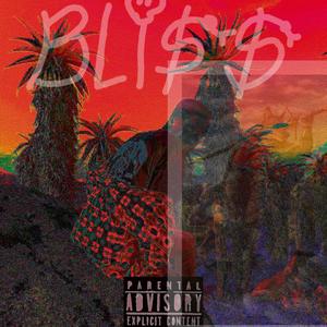 BLI$$ (Explicit)