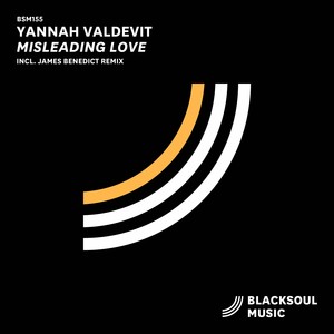 Misleading Love (James Benedict Remix)