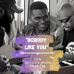 Nobody Like You (CCM, DJ Toxic Mahn, Prof Lee)